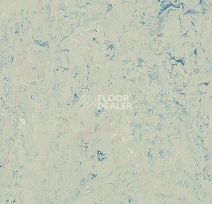 Линолеум Forbo Marmoleum Marbled Splash 3429-342935 bluemoon фото 1 | FLOORDEALER